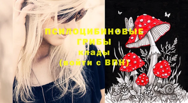 тгк Магас