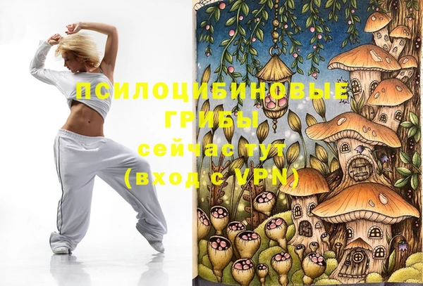 apvp Алексин