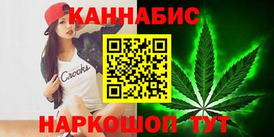 a pvp Гатчина