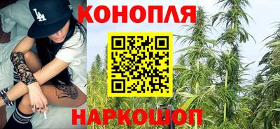 a pvp Гатчина